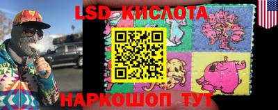 стаф Кингисепп