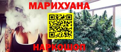 стаф Кингисепп