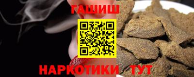 стаф Кингисепп