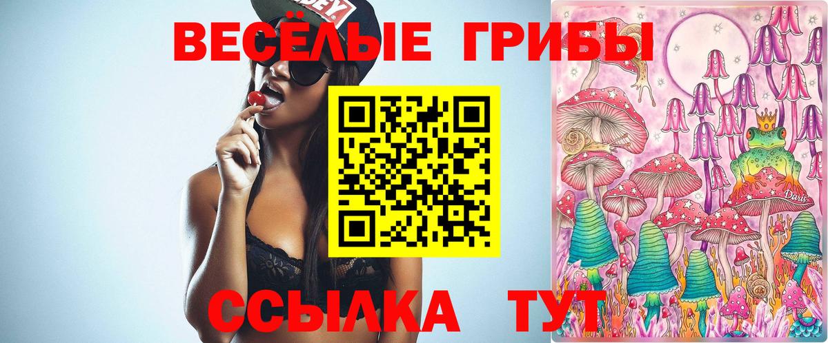 Псилоцибиновые грибы ЛСД  Вход с VPN  Уссурийск 