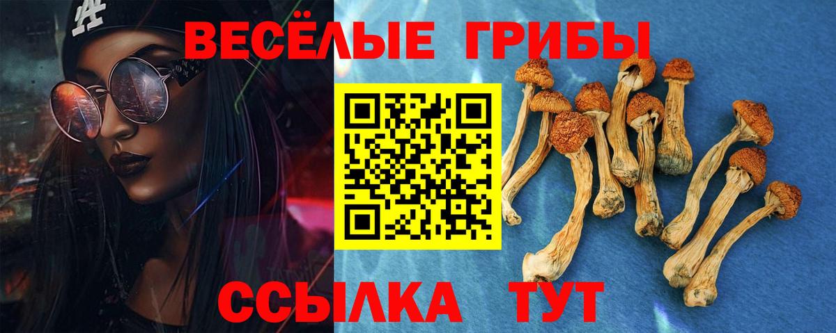 Псилоцибиновые грибы MAGIC MUSHROOMS Уссурийск